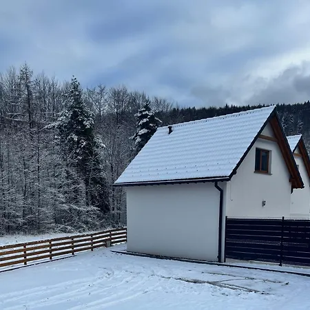 Na Kamiencu Ferienhaus Rzyki